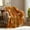 Brown Leaves, variant on Gogreen Cozy Christmas Blanket - 300 GSM Flannel Size for Home Decoration - Ultra Soft (Christams Check, - 50" x 60")