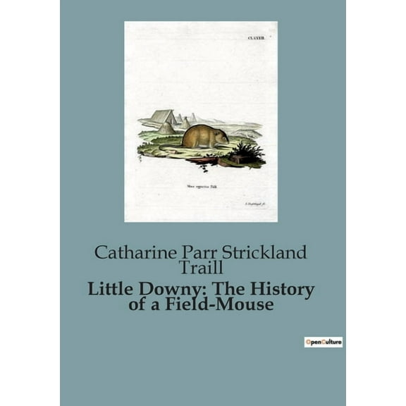 Little Downy: The History of a Field-Mouse: A Moral Tale of Adventure and Consequence, (Paperback)