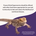 thumbnail image 4 of Supergusanos liofilizados Fluker's 48 g para reptiles, 4 of 6
