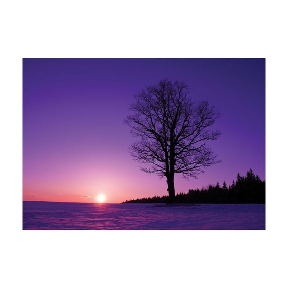 Ambesonne Tree Jigsaw Puzzle, Sunset Nature Landscape, Heirloom-Quality Fun Activity for Family Durable Cardboard, 1000 pcs, Purple Black