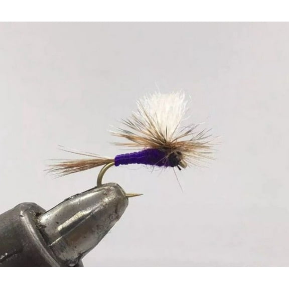 One Dozen (12) - Parachute Purple Haze - Dry Fly