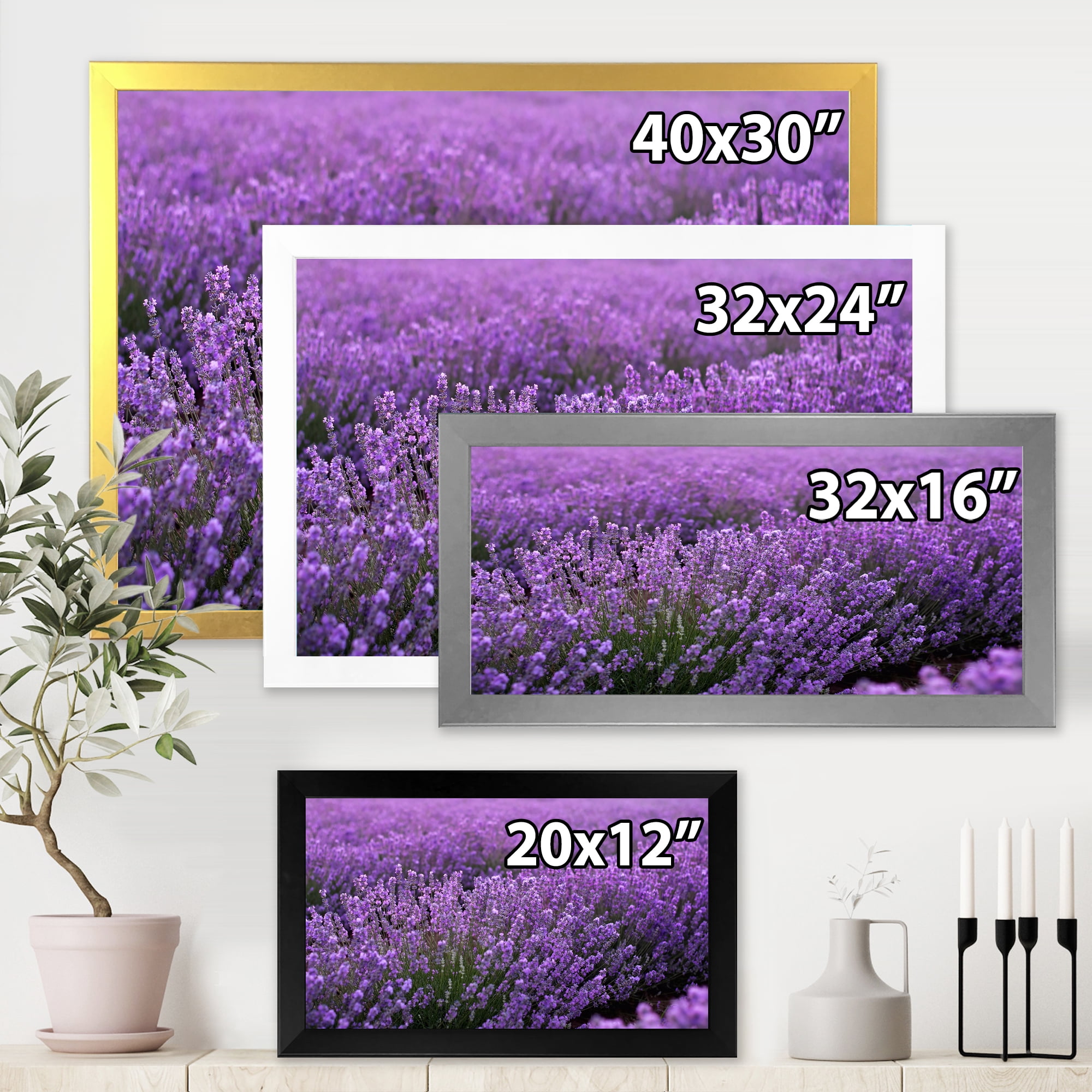 Designart 'Blooming Purple Lavender Meadow' Farmhouse Framed Art Print