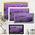 thumbnail image 4 of Designart 'Blooming Purple Lavender Meadow' Farmhouse Framed Art Print, 4 of 4