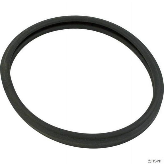 Generic O-170 Amerlite Pool Light Lens O-Ring