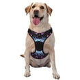 thumbnail image 1 of XMXY No Pull Dog Harness, Kaleidoscope Flower Adjustable Reflective Pet Harness with Oxford Vest, Small Size, 1 of 9