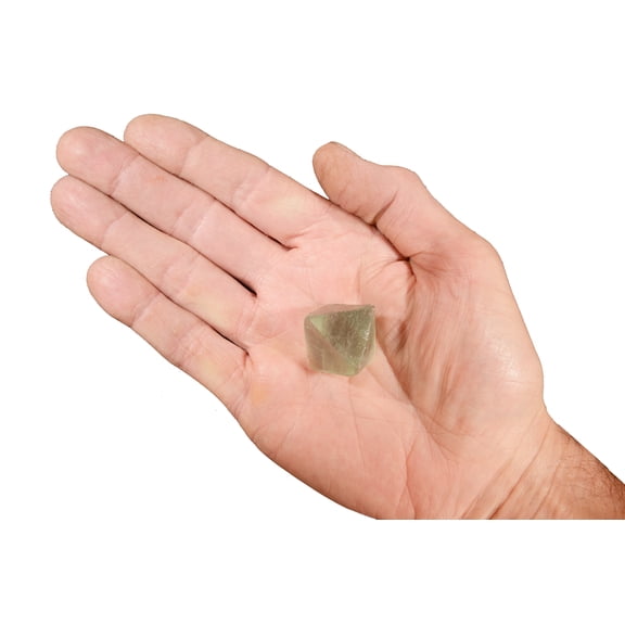 Kidz Rocks Light Green Fluorite Octahedron 1" Raw Chakra Healing Crystal Rock Mineral