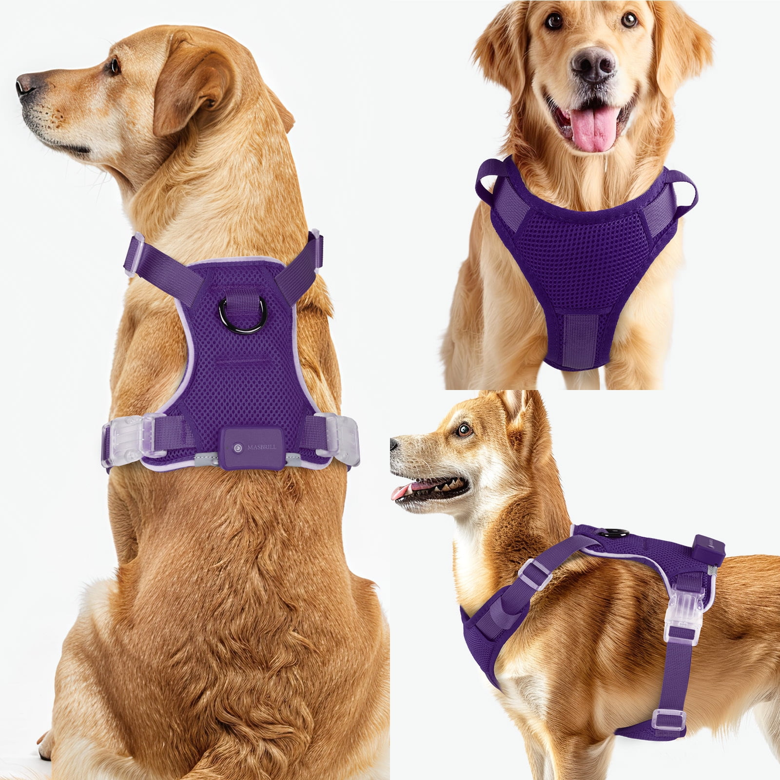 Sporn Dual Handle Padded Dog Training Leash, 6ft Long Dog Leash