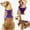 Purple, variant on Jewyow Dog Harness No Pull, Dog Vest Harness for Medium Dogs, Small puppy， Cat, Breathable, Pink, M