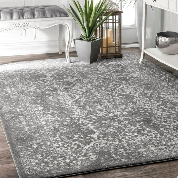 nuLOOM Vintage Abstract Transitional Area Rugs, Silver