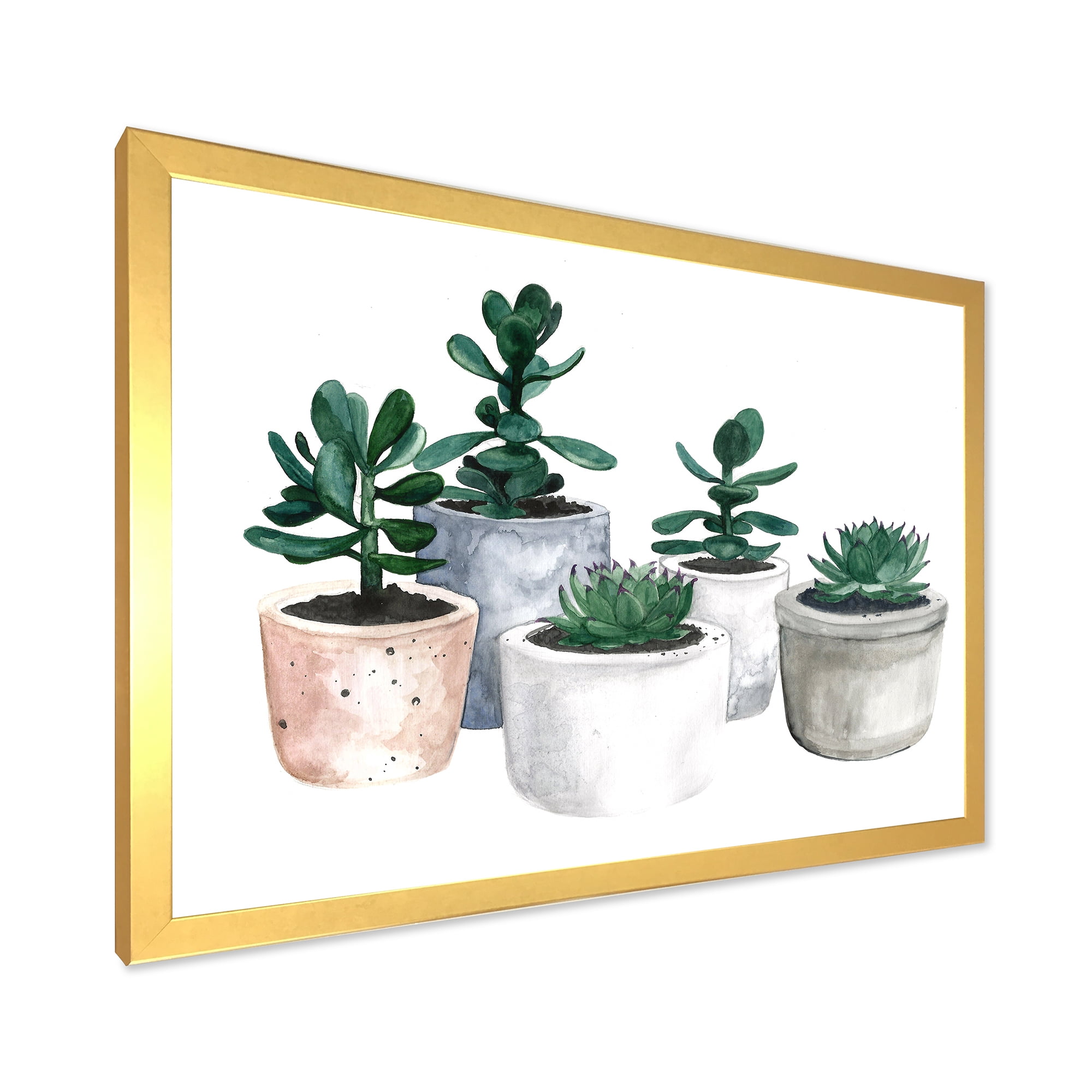 Designart 'Succulent and Cactus House Plants VI' Farmhouse Framed Art Print