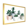 thumbnail image 2 of Designart 'Succulent and Cactus House Plants VI' Farmhouse Framed Art Print, 2 of 4