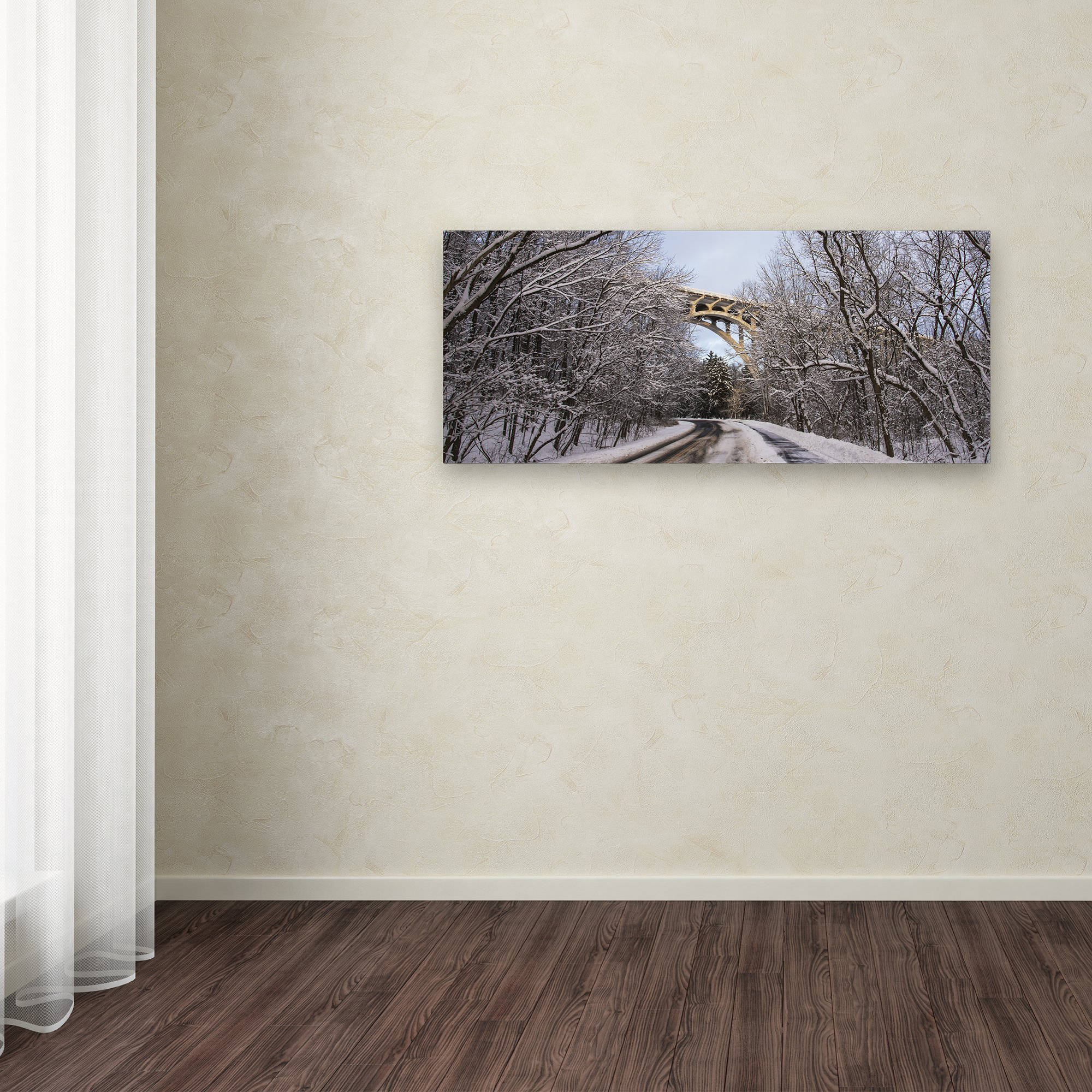 Trademark Fine Art "Heavy Snowfall Along the Parkway 2" Canvas Art by Kurt Shaffer