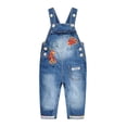thumbnail image 1 of Kidscool Space Baby Girls Easy Diaper Changing Snap Legs Embroidered Cute Denim Overalls,Blue,2-3 Years, 1 of 6