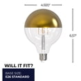 thumbnail image 2 of Bulbrite 862852 2700K 500 Lumen 6 watt LED Filament Dimmable G40 Light Bulbs with a Half Gold & Medium E26 Base, Warm White - Pack of 4, 2 of 5