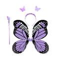 thumbnail image 2 of Runquan Fairy Costume Set Girls Butterfly Stick Halloween for Theme Parties Carnivals, 2 of 8
