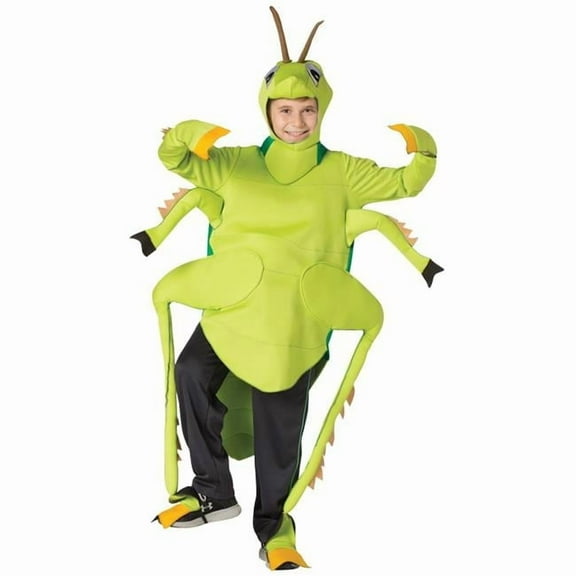 Rasta Imposta Grasshopper Boy's Halloween Fancy-Dress Costume, One Size
