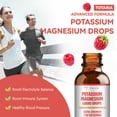 thumbnail image 6 of Totaria Potassium Magnesium Liquid Drops - Supports General Wellness and Muscle Health - 2 FL OZ/60 ML, 6 of 7