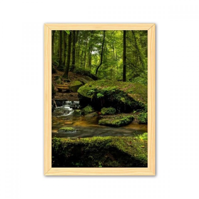 Arroyo Verde ciencias forestales paisajes naturaleza Cuadro de madera decorativa marco de casa A4