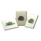 thumbnail image 4 of Set de Tarjetas de Notas Earth Sky + Water – 8 unidades (9 cm x 13 cm), 4 of 4