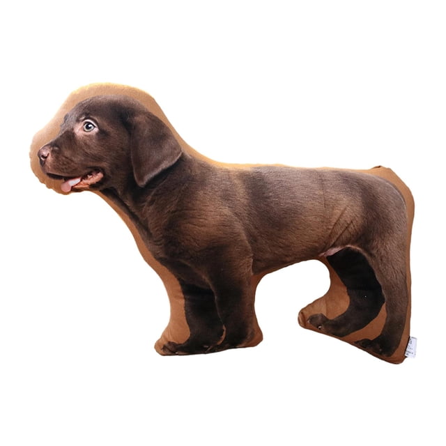 Cojín de animales lavable y divertido para sofá, peluche de juguete perro tejonero