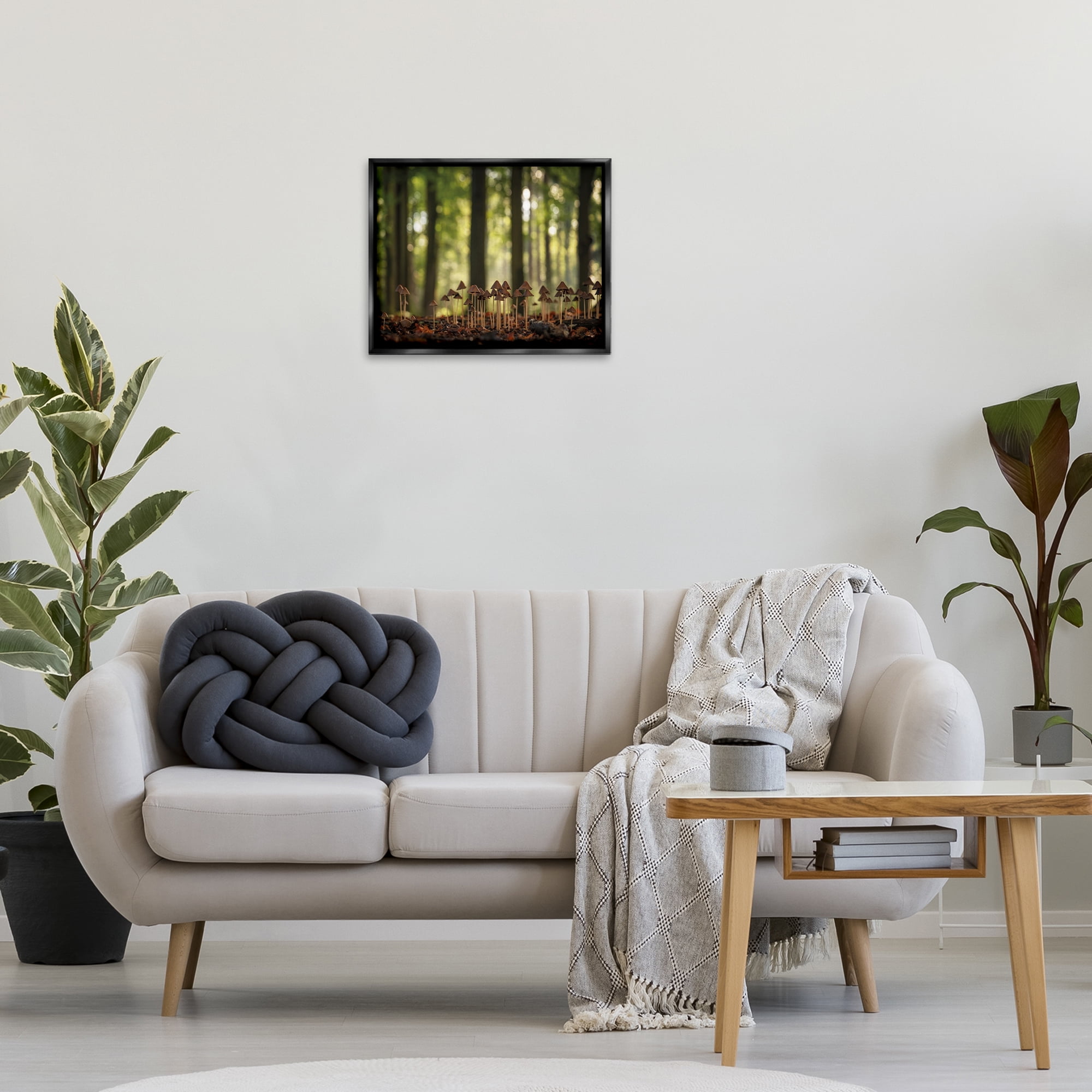 Stupell Industries Mushroom Sprouts in Forest Botanical & Floral Photography Black Floater Framed Art Print Wall Art, 21 x 17