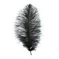 thumbnail image 3 of John Bead Ostrich Drab Feathers 11-13in, Black, 3 of 4