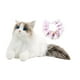 thumbnail image 4 of Gato Ragdoll de peluche, juguete de peluche realista, creativo, cómodo y suave. Pañuelo gato rosa, 4 of 9