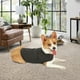 thumbnail image 5 of Camisa De Perro Gris Oscuro Camisa Anti -ansiedad Camisa Estrés Alivio Mantenga Calma Tendro, 5 of 7