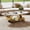Gold-03, variant on Holaki 51.2" Oval Coffee Table, Modern Faux Marble Coffee Table with Sintered Stone Tabletop, Large Unique Center Table with Gold Stainless Steel Base for Living Room, Gold