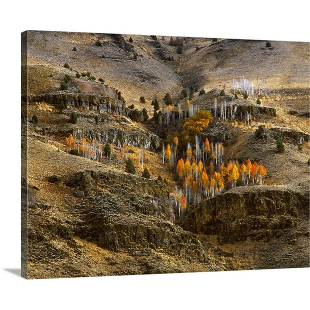 Great BIG Canvas "Oregon, Hart Mountain National Antelope Refuge