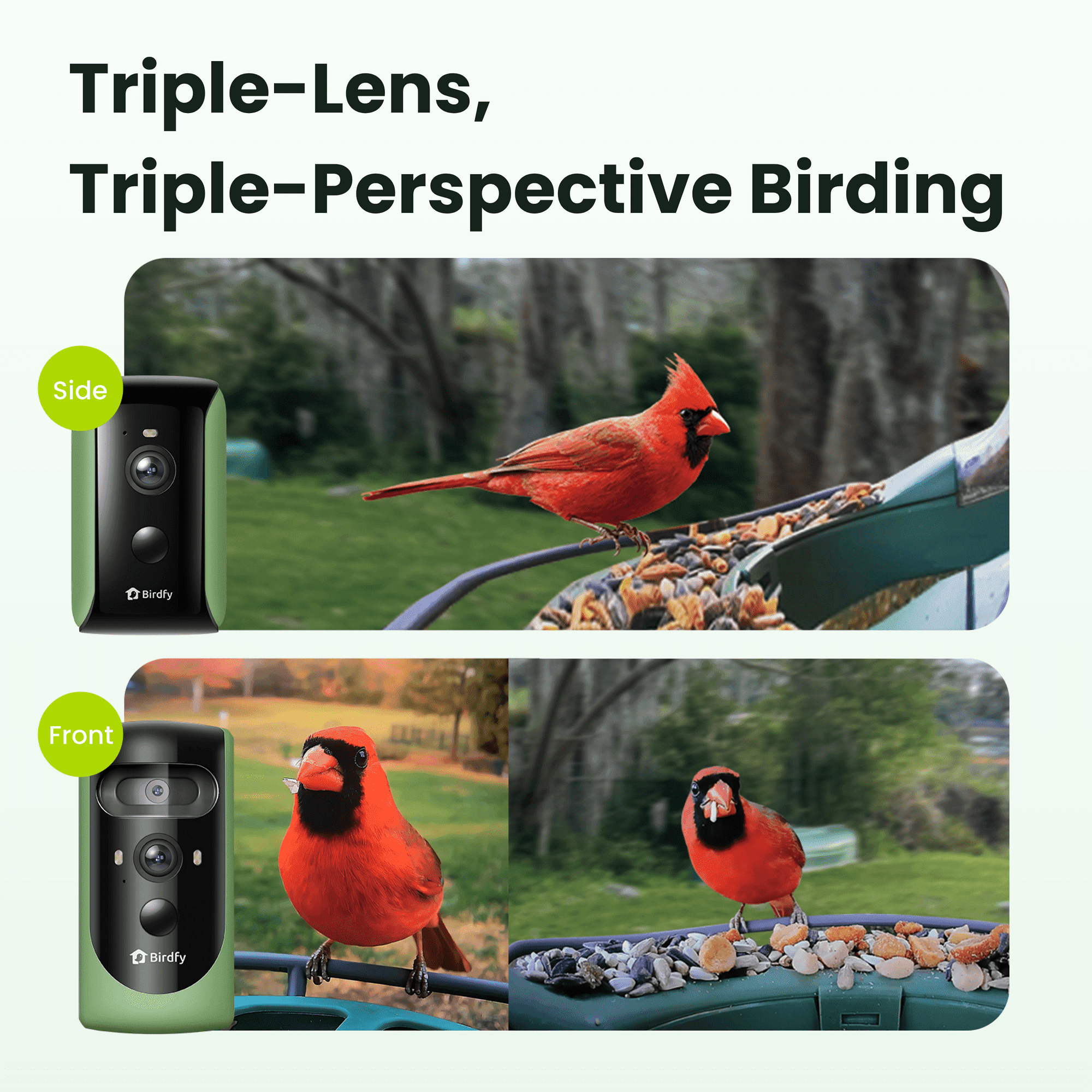 Birdfy Smart Bird Feeder with Camera, 5W Solar Powered, Dual Cameras Auto-Capture Close-Ups & Lifetime Free 99% Accurate AI Bird Identification, Perfect Gift for Bird Lovers