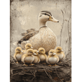 thumbnail image 1 of Qisvanset 12x16 Inch Mother Duckling Canvas Wall Art, Rustic Spring Farm Animal Easter Nature Home Decor, 1 of 8