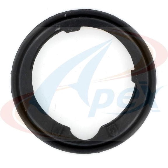 Thermostat Housing Gasket
