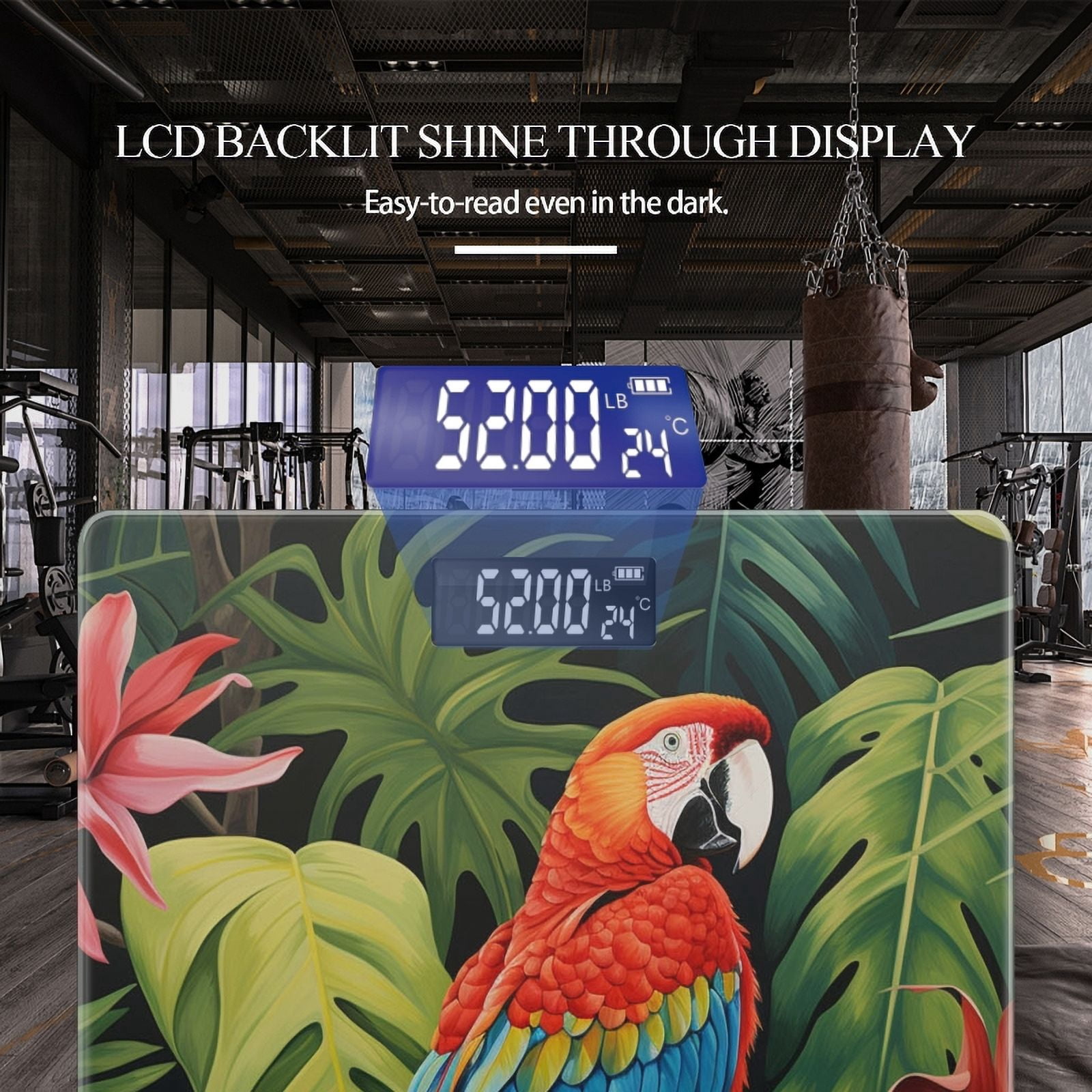 High Precision Body Weight Scale Smart Bathroom Scales with Large LCD Display(400lbs),Decorative for Bedroom-Vibrant Macaw Perched On The Branch