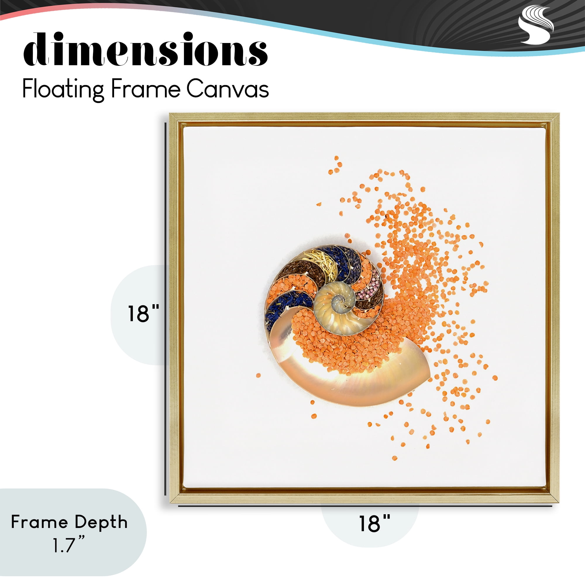 Stupell Industries Orange Nautilus Spiral Gold Framed Floater Canvas Wall Art, design by Beth Adoette