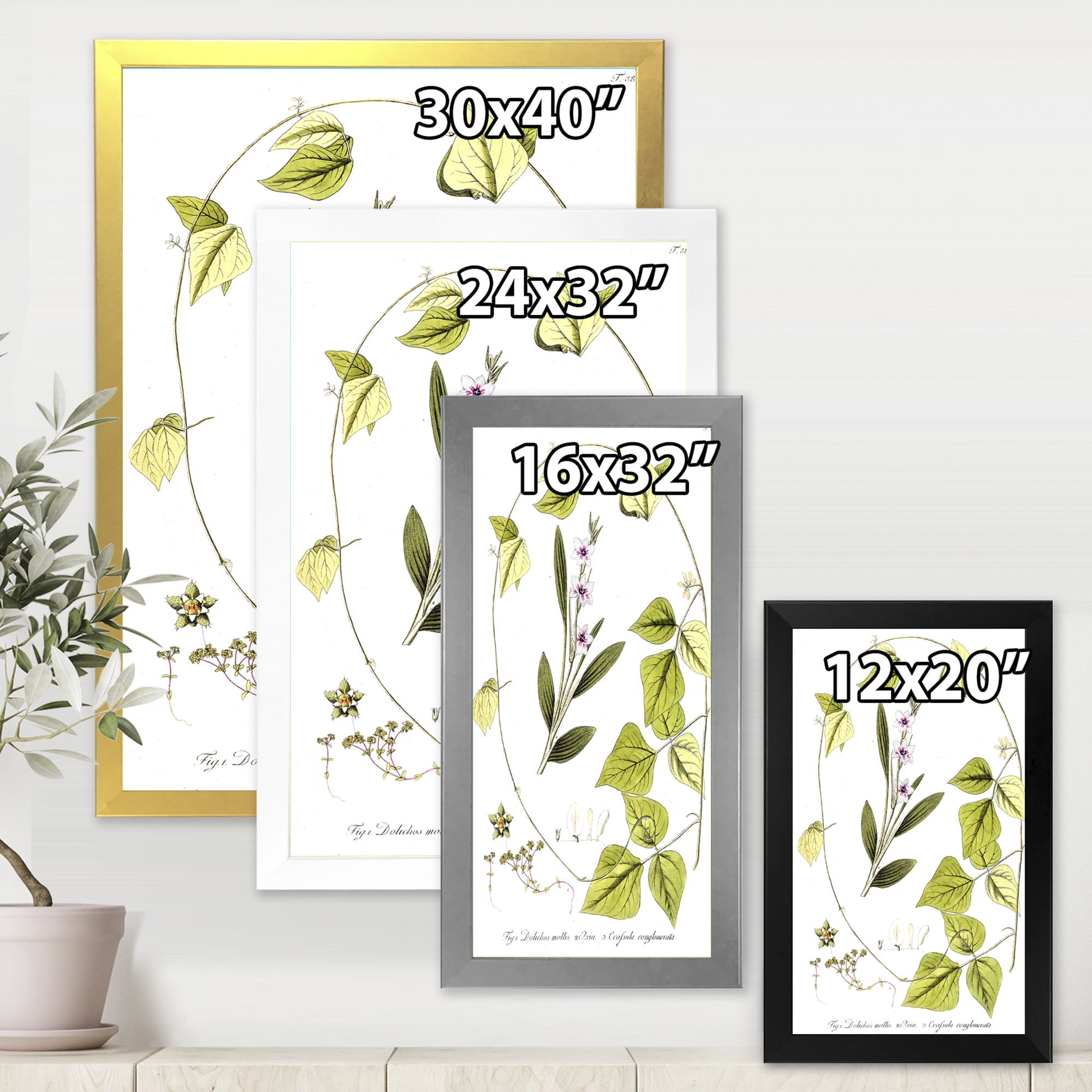 BOTANICAL ART 【import品】 91gX8jB-swL._UF894,1000_QL80_.jpg