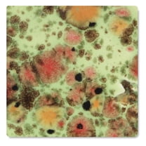 Mayco Jungle Gems Crystal Glaze - Mixed Melon, Pint