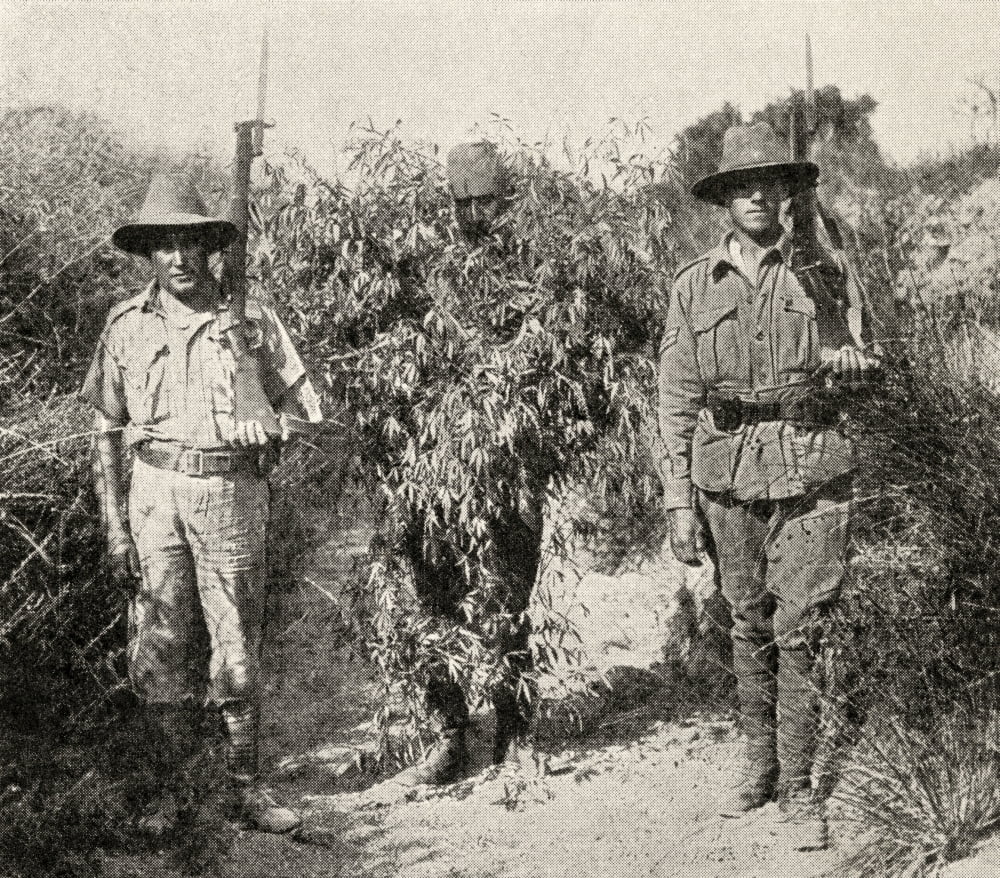 Gallipoli Campaign A Turkish Sniper Disguised As A Bush In Custody After Being Captured By Anzac Troops From The Great World War A History Volume Iii Published 1916 Canvas Art - Ken Welsh Design Pics