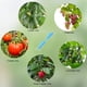 thumbnail image 3 of 10 Ganchos de Soporte para Tomates Ganchos para Enrejado de Tomates Cuerda de Soporte para Plantas de Tomate Gancho para Soporte de Tomates de Vid con Cordel de 10 Metros para ANGGREK Otros, 3 of 8