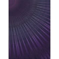 thumbnail image 1 of Ahgly Company Indoor Rectangle Patterned Purple Novelty Area Rugs, 3' x 5', 1 of 6