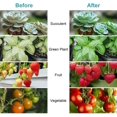 thumbnail image 5 of [4 piezas] Led Grow Light 10w E27 Grow Light, Full Spectrum Grow Light Grow Light, Object Light, Garden Greenhouse,11 Feliz Sencillez, 5 of 5