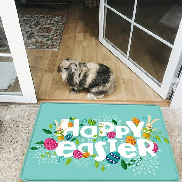 Sentmoon Easter Day Door Mat - Front Door Mat - Bath Rug Super Absorbent Dry - Rubber Backing Non Slip Washable Bathroom Floor Mats -Green 16x24 IN Easter Basket Stuffers Todays Deals Clearance Sales