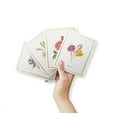 thumbnail image 2 of Twigs Paper - Elegant Flowers Greeting Card Set - 12 Blank Thank You Cards With Envelopes - 4 Floral Card Designs - Eco Friendly - Made in USA, 2 of 8
