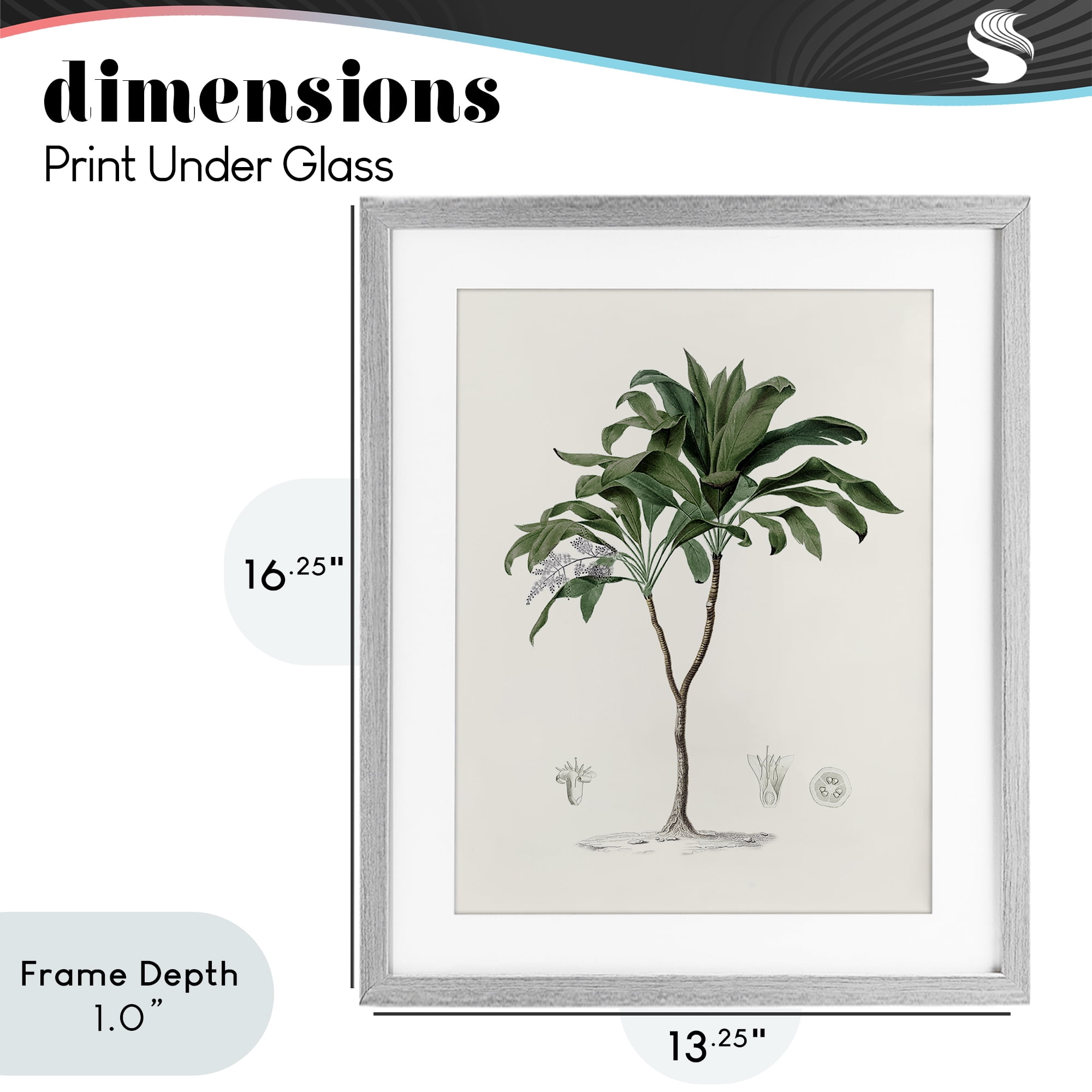 Stupell Industries Coastal Palms Vintage Gray Framed Print Under Glass, design by Val Rhodes