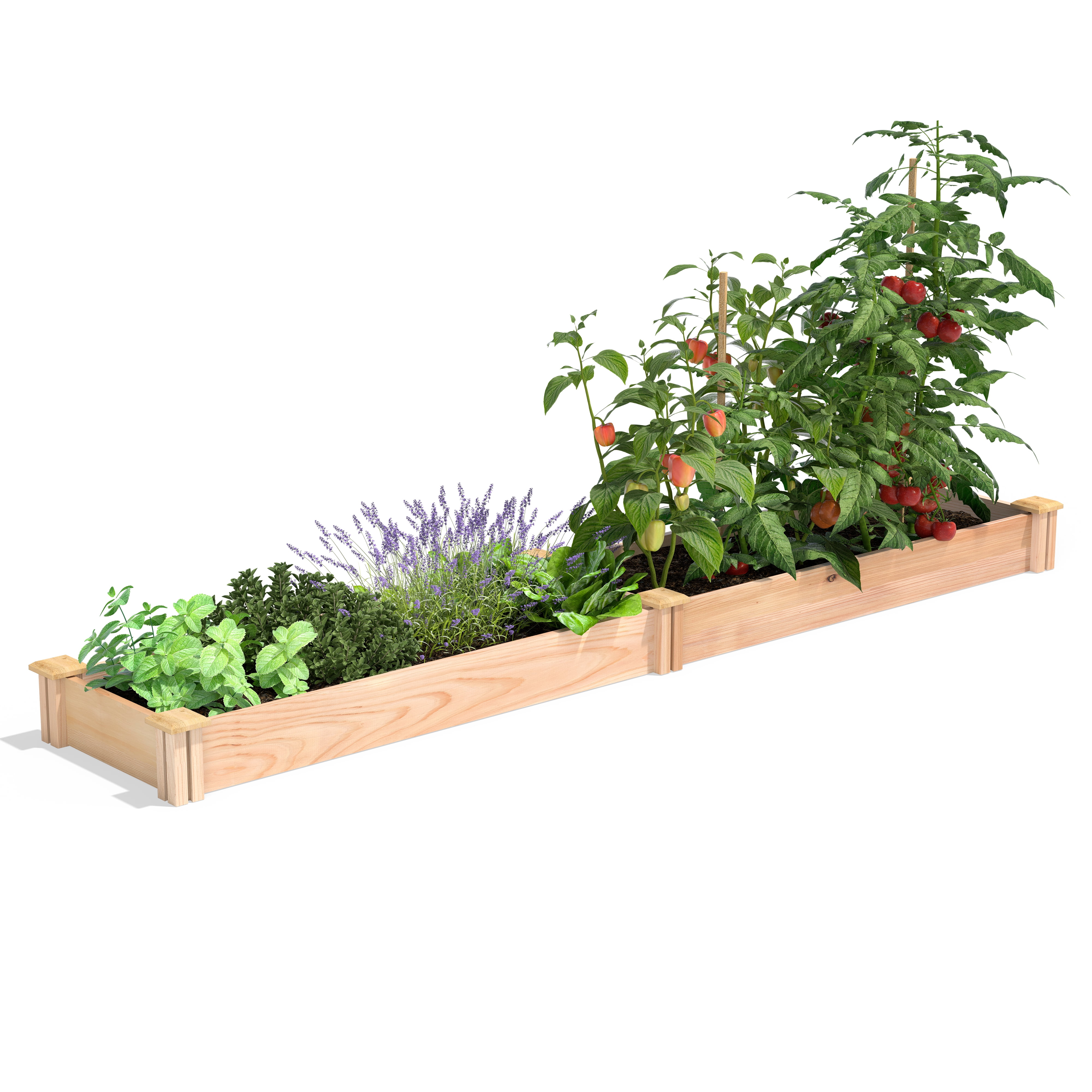 H Rectangle Cedar Natural Finish W x 5.5 in Raised Garden Bed 96 in L x 48 in 