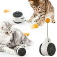 thumbnail image 2 of Pet Cat Unblocking Self-healing Balance Swing Car Funny Cat Toy, 2 of 6