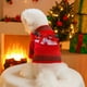 thumbnail image 4 of Suéter Navideño para Perros y Gatos Pequeños: Traje Navideño de Alce con Copos de Nieve Rojos, Cálido Jersey de Poliéster con Pajarita, Tallas Xs/S/M, 4 of 6