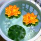 thumbnail image 4 of Floating Foam Lotus Flowers with Leaves, Artificial Water Lilies for Pond Pool Decor, Realistic Fake Lotus Flowers for Garden Water Feature, Outdoor Pond Decorations, Water Garden Accents, 4 of 6