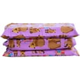 thumbnail image 4 of KinderMat + Eric Carle Kinderbundle - Brown Bear, Brown Bear, What Do You See? - Full Nap Mat & Washable Cover, Special Edition - 47" x 22", Value Bundle, Great for Daycare & Family Households, 4 of 7
