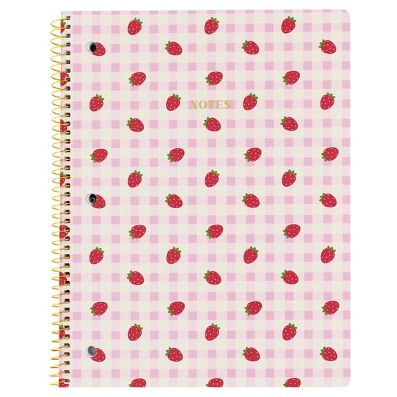 Ecokind Strawberry Checkered Wide Ruled Notebook, 8in x 10.5in, 80 Sheets